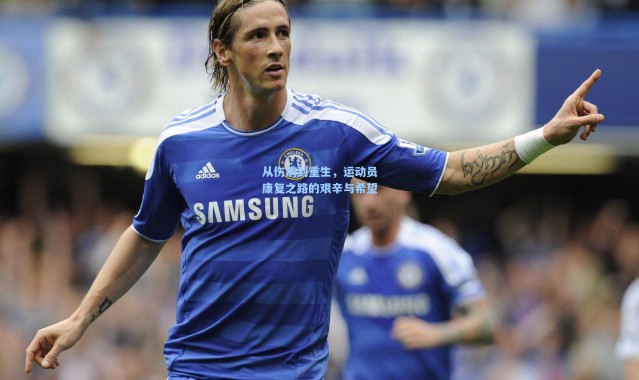 从伤病到重生，运动员康复之路的艰辛与希望