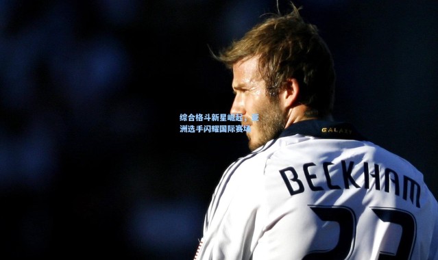 综合格斗新星崛起，亚洲选手闪耀国际赛场