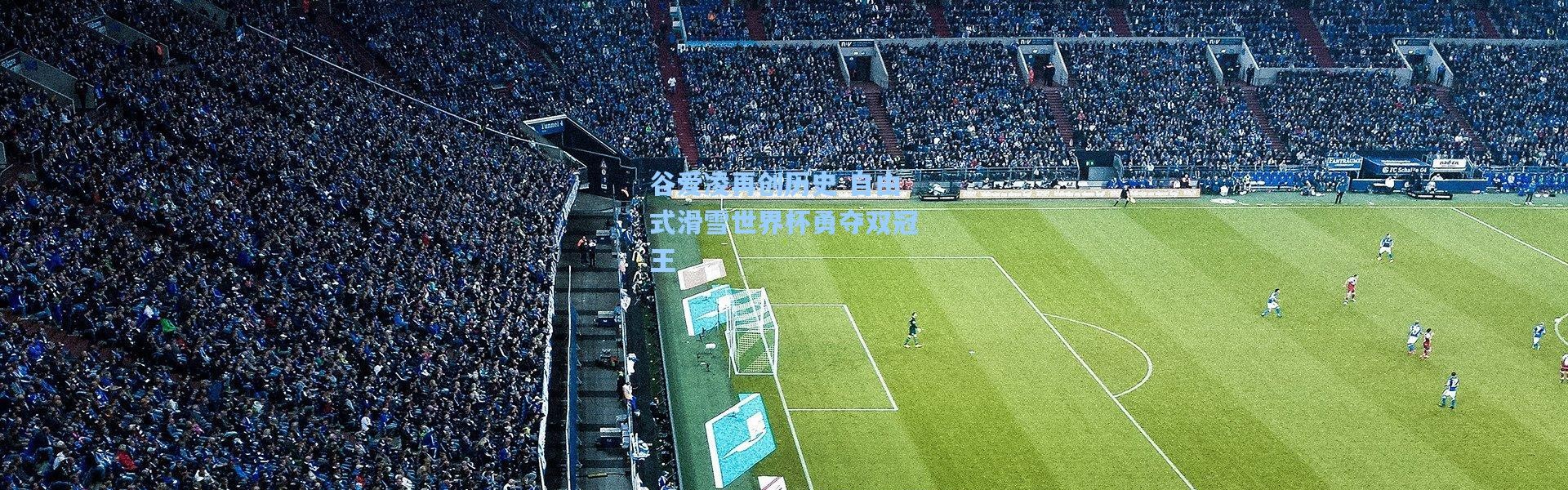 谷爱凌再创历史 自由式滑雪世界杯勇夺双冠王